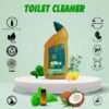 Buy Toilet Cleaner Online at Best Prices in India - Glitz